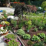 Фермерский дом Nel Giardino Di Dafne