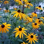 Nel Giardino Di Dafne Фермерский дом *