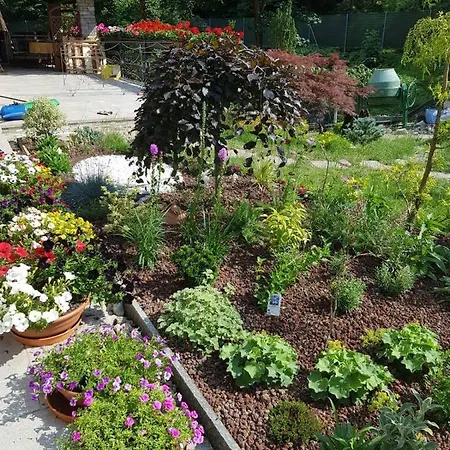 مزرعة للإقامة Nel Giardino Di Dafne