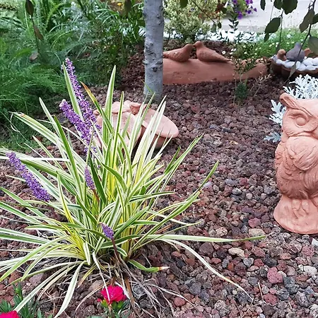 Nel Giardino Di Dafne Alloggio per agriturismo