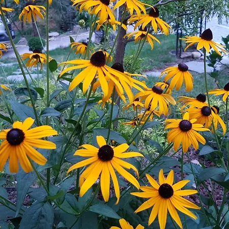 Nel Giardino Di Dafne Farm stay *